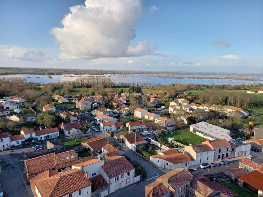 Lac Grand Lieu : Maisonnette Au Calme Avec Jardin Saint-Lumine-de-Coutais المظهر الخارجي الصورة